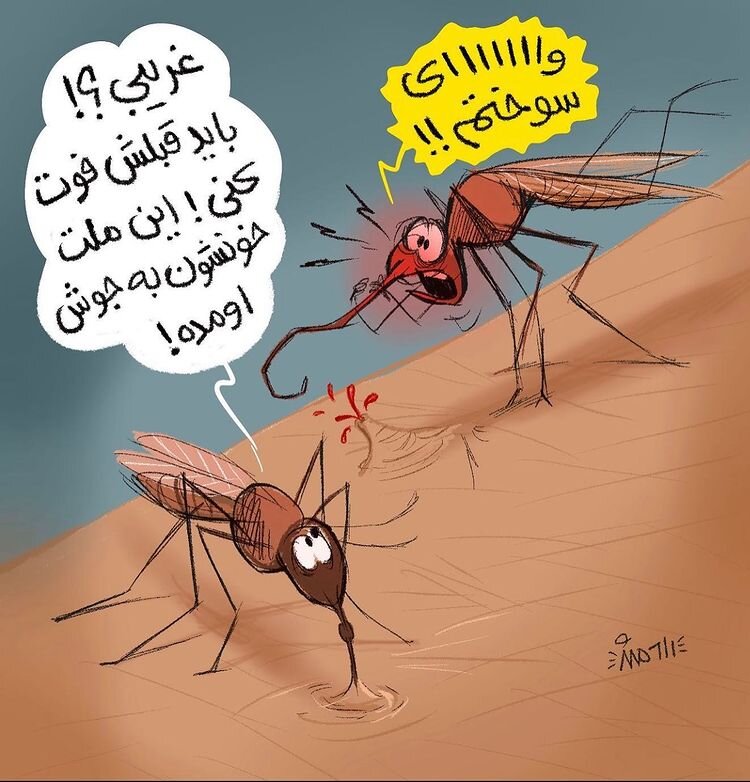 اینم مشکل جدید پشهها برای نیش زدن مردم! اینم مشکل جدید پشهها برای نیش زدن مردم!